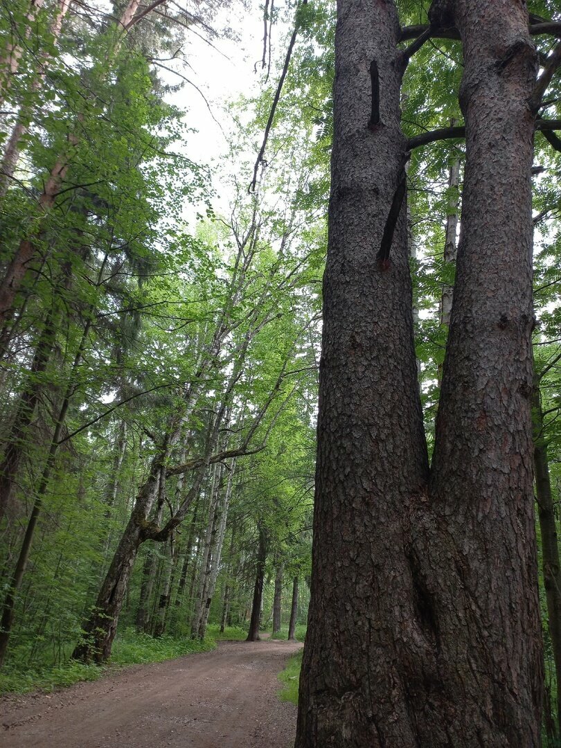 Гостиница Австерия Пермь-253