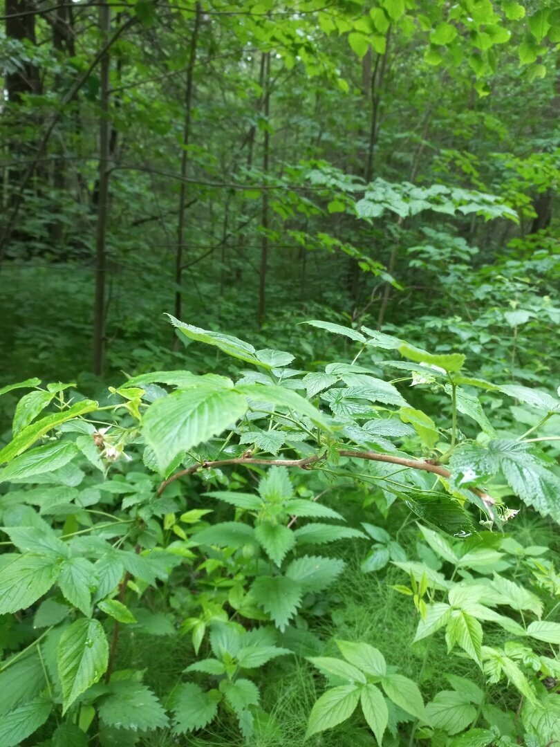 Гостиница Австерия Пермь-160