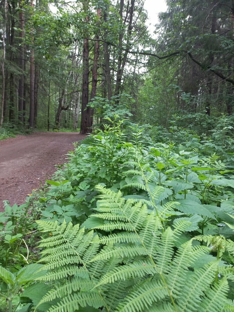 Гостиница Австерия Пермь-30