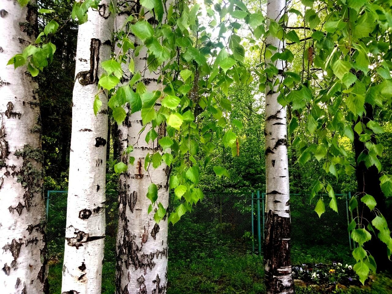 Гостиница Австерия Пермь-14