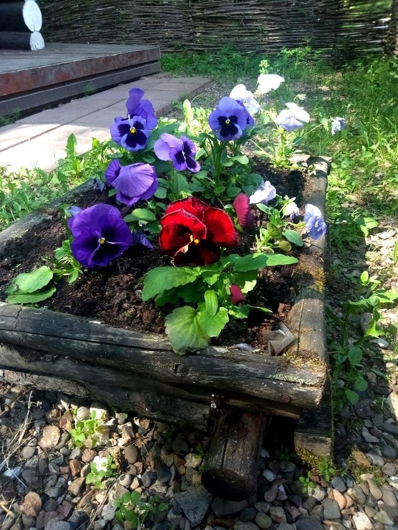 Гостиница Австерия Пермь-122