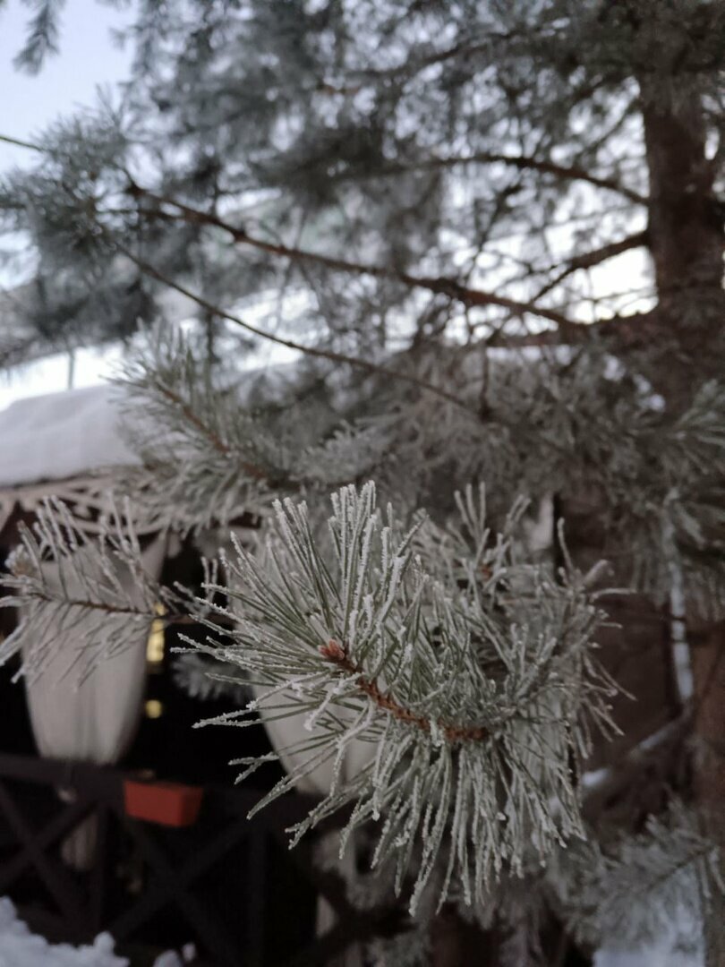 Гостиница Австерия Пермь-97