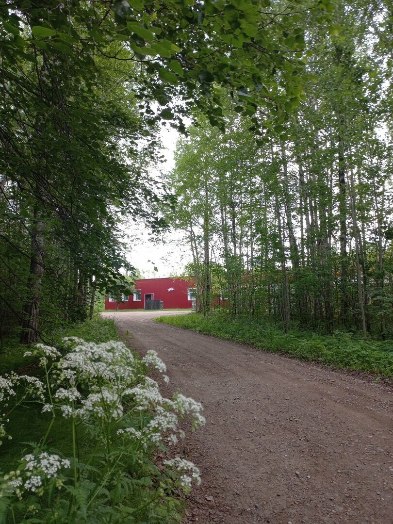 Гостиница Австерия Пермь-111