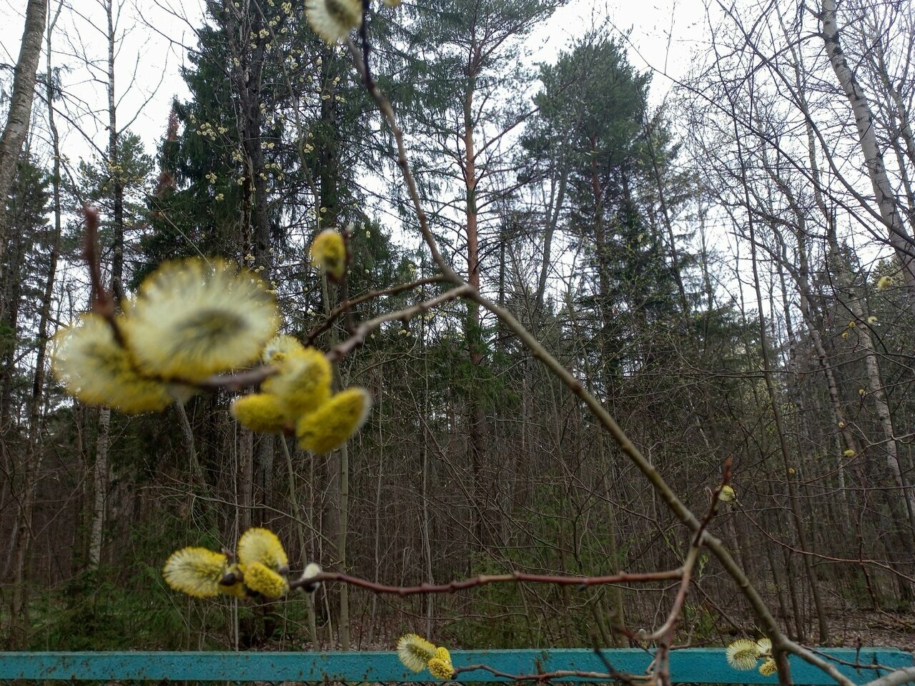 Гостиница Австерия Пермь-168