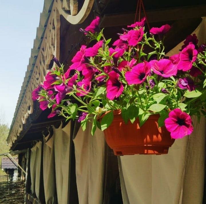 Гостиница Австерия Пермь-9