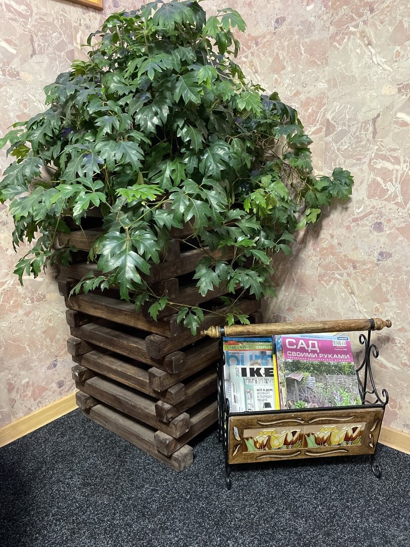 Гостиница Австерия Пермь-92