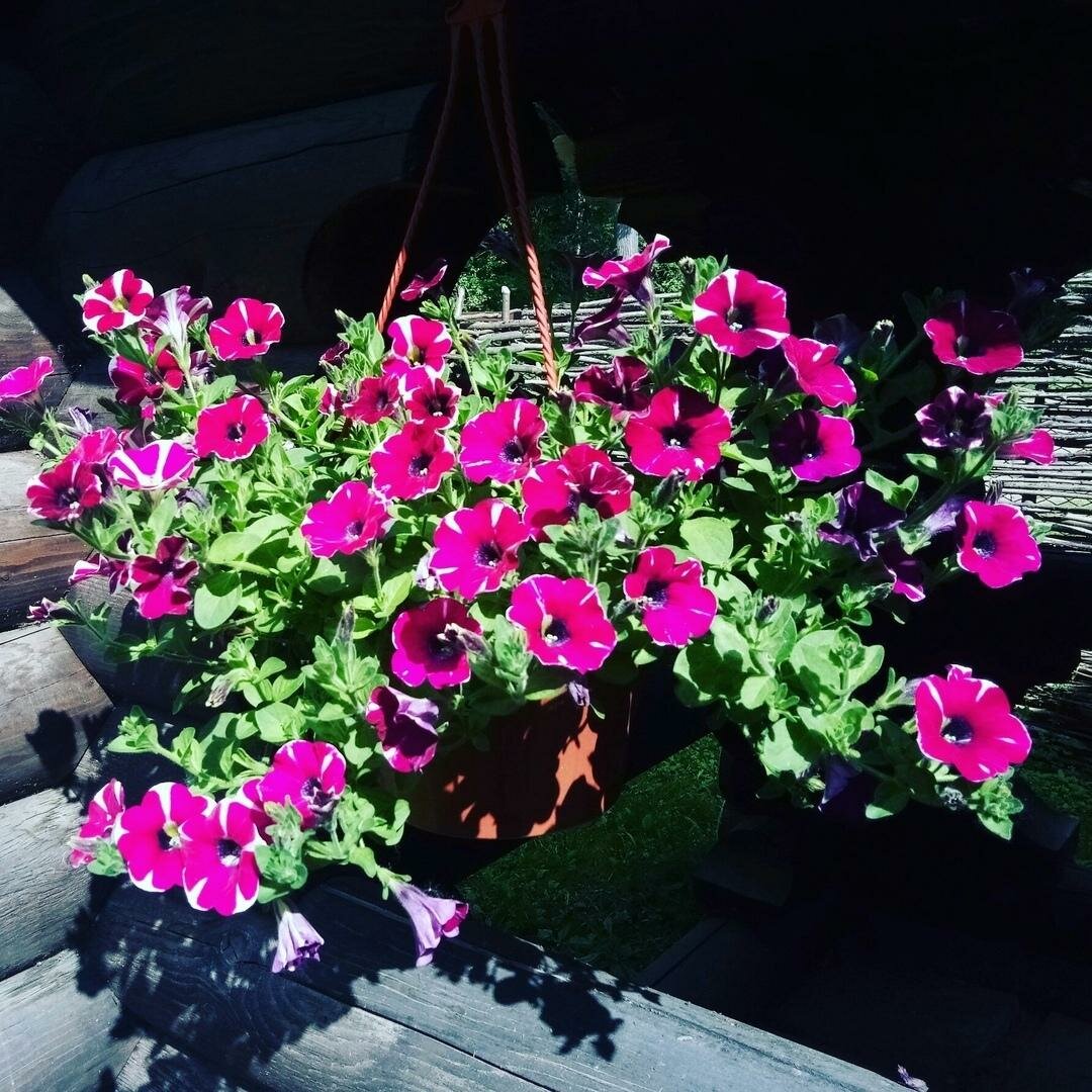 Гостиница Австерия Пермь-237