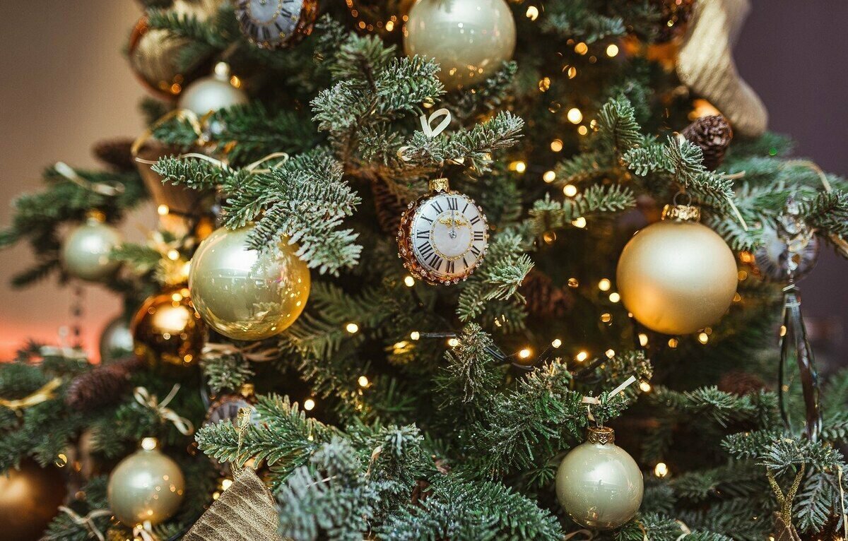 Гостиница Австерия Пермь-240