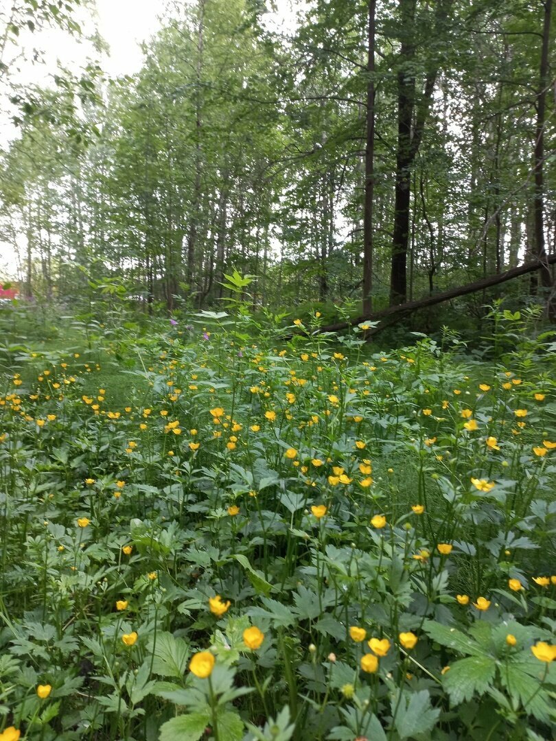 Гостиница Австерия Пермь-134