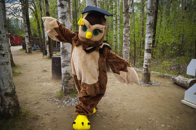 Гостиница Австерия Пермь-47