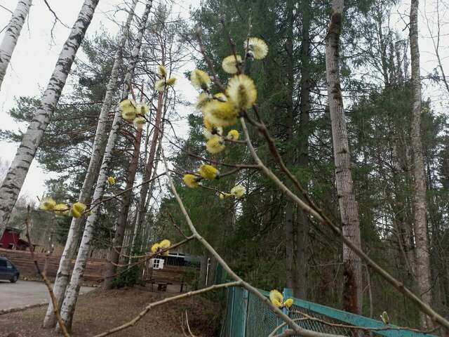 Гостиница Австерия Пермь-251
