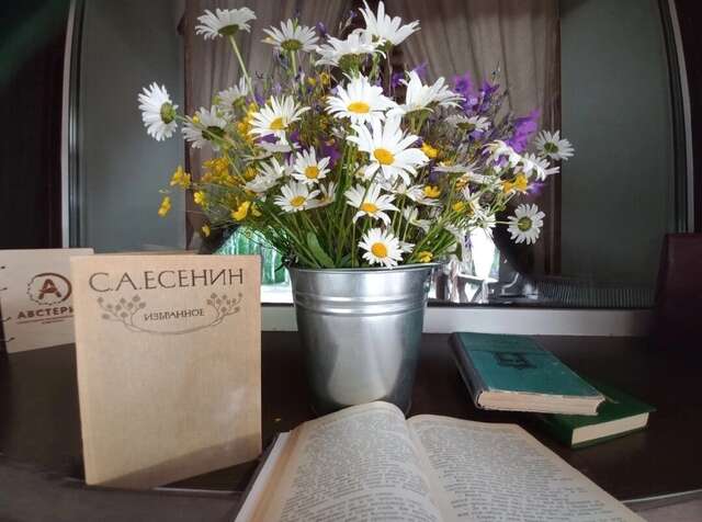 Гостиница Австерия Пермь-148