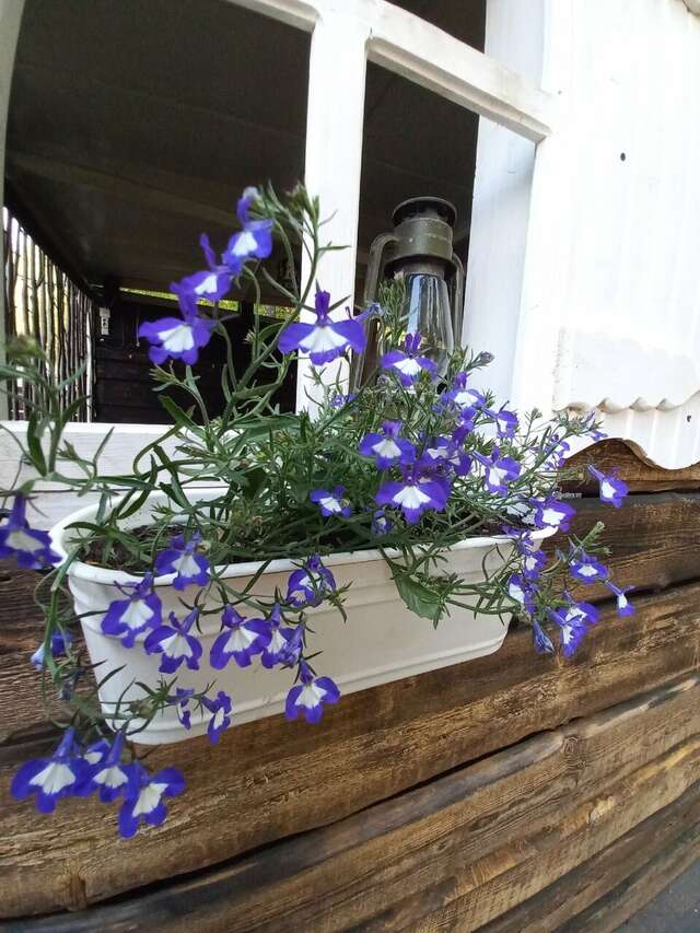 Гостиница Австерия Пермь-151