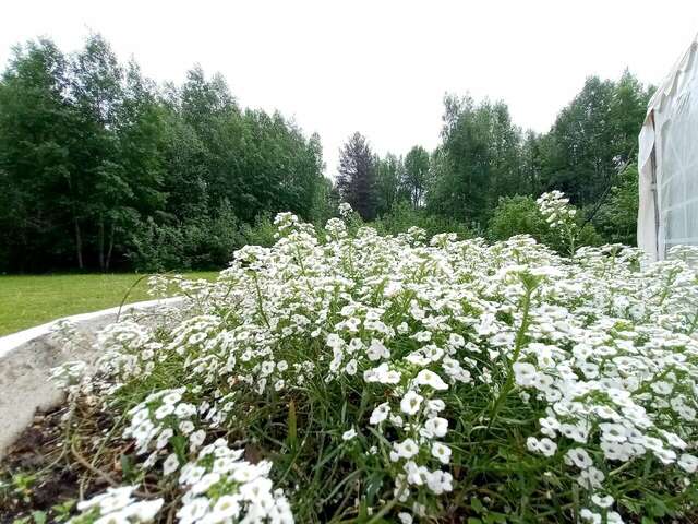 Гостиница Австерия Пермь-35