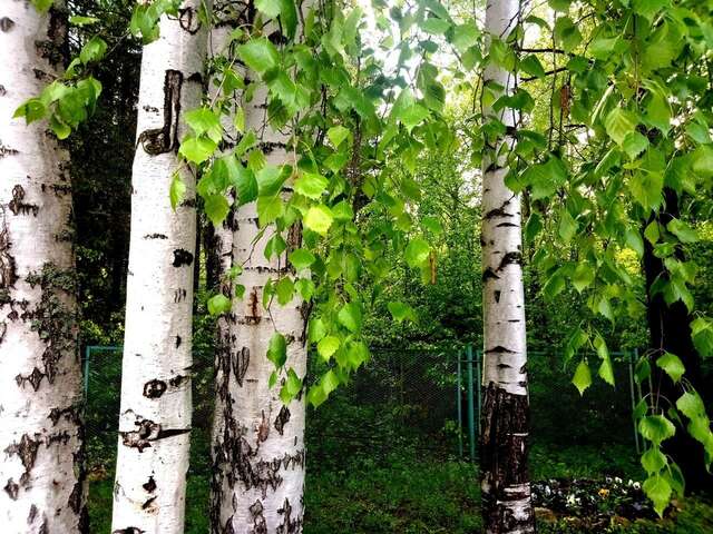 Гостиница Австерия Пермь-13