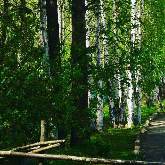 Гостиница Австерия Пермь-98