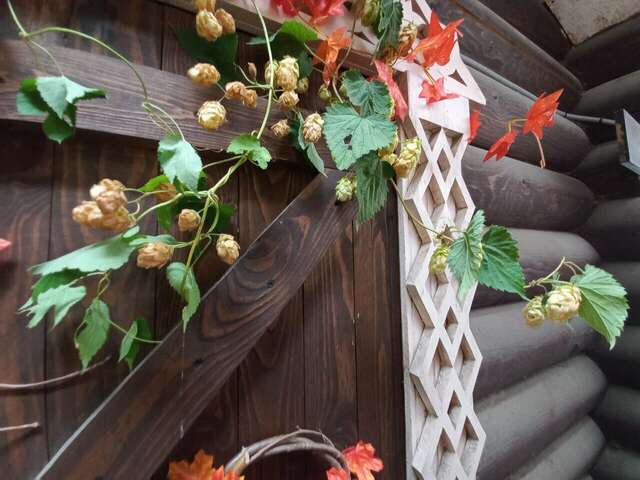 Гостиница Австерия Пермь-51