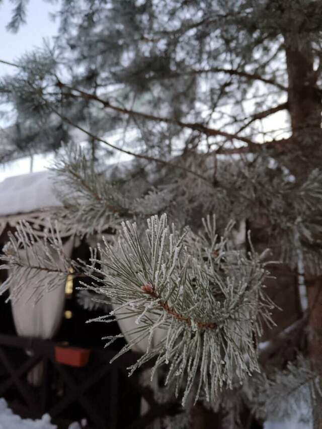 Гостиница Австерия Пермь-96
