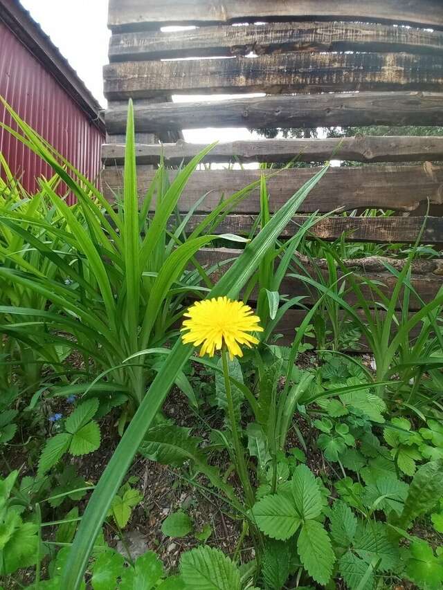 Гостиница Австерия Пермь-82