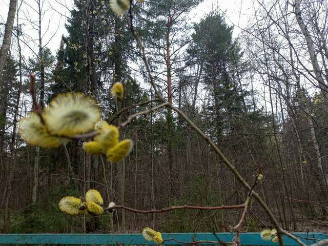 Гостиница Австерия Пермь-167