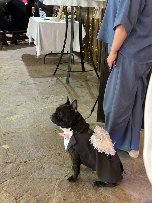 Гостиница Австерия Пермь-21