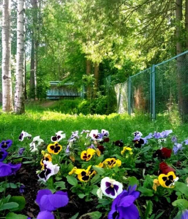 Гостиница Австерия Пермь-26