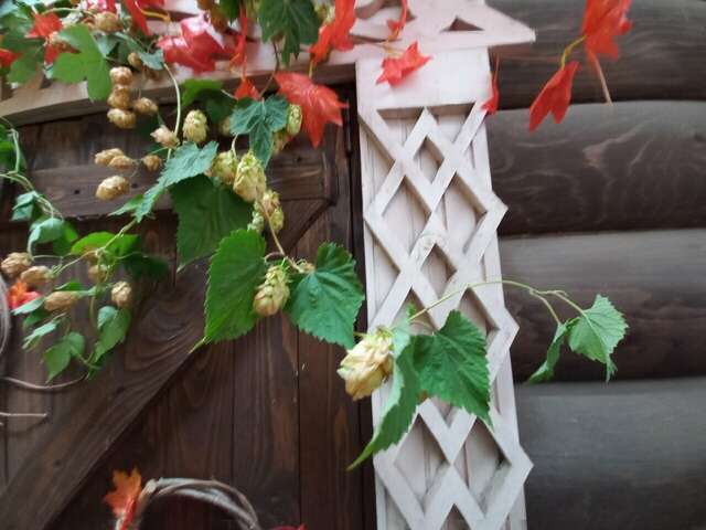 Гостиница Австерия Пермь-241