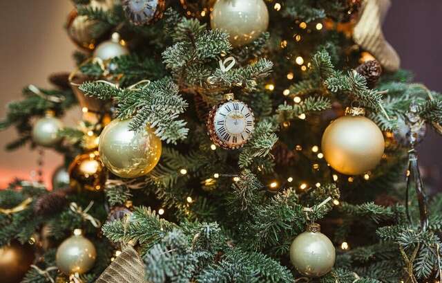 Гостиница Австерия Пермь-239